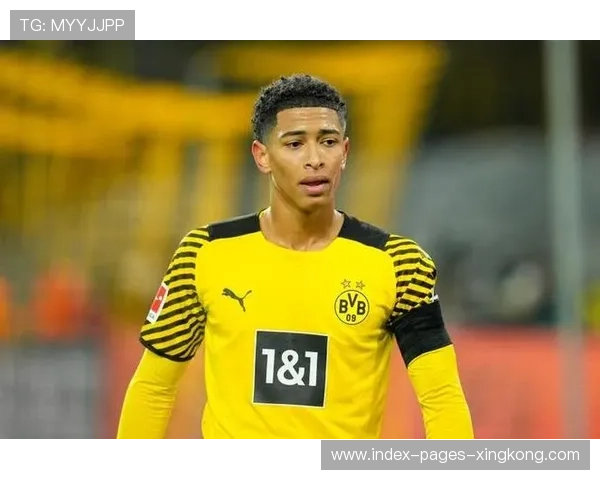 意甲老化问题促成青训资金大增 意甲老化问题促成青训资金大增